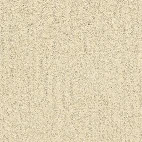 Texture Coastline Beige/Tan Carpet
