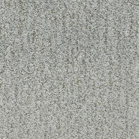 Texture Cypress Gray Carpet