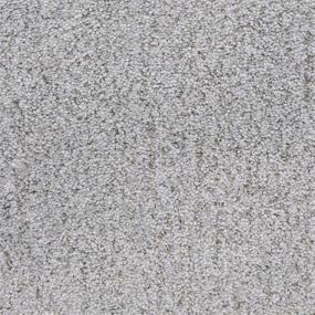 Texture Santa Lucia Gray Carpet