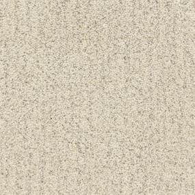 Texture Sea Wall Beige/Tan Carpet