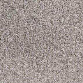 Texture Seal Grey Brown Carpet