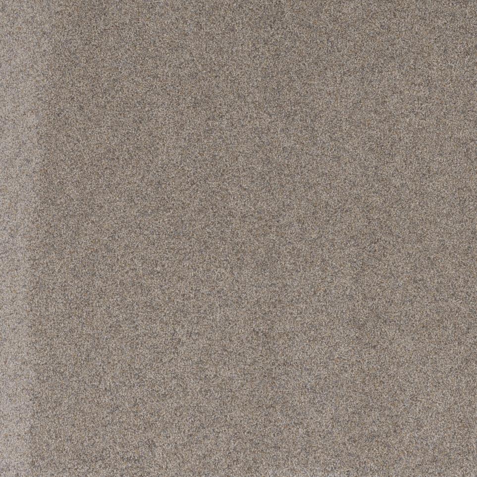 Textured Saxony Smithsonian Beige/Tan Carpet