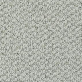 Loop Waterway Gray Carpet