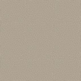 Plush Saxony Country Charm Beige/Tan Carpet