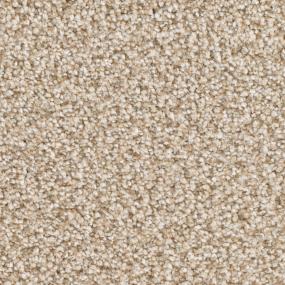 Plush Saxony Country Charm Beige/Tan Carpet