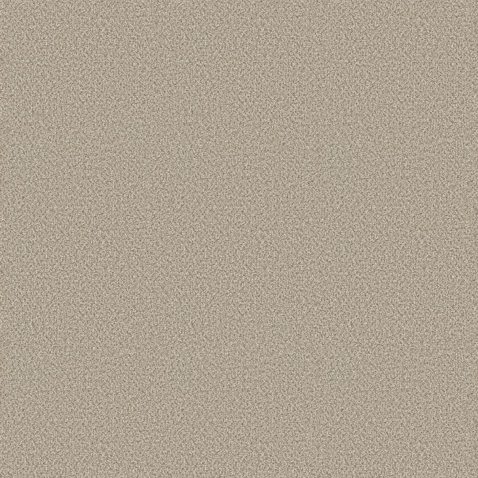 Plush Saxony Country Charm Beige/Tan Carpet