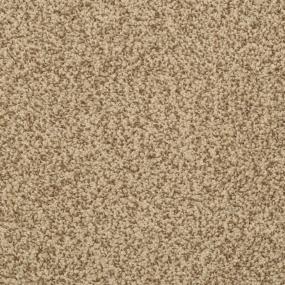 Casual Texture Mesa Brown Carpet