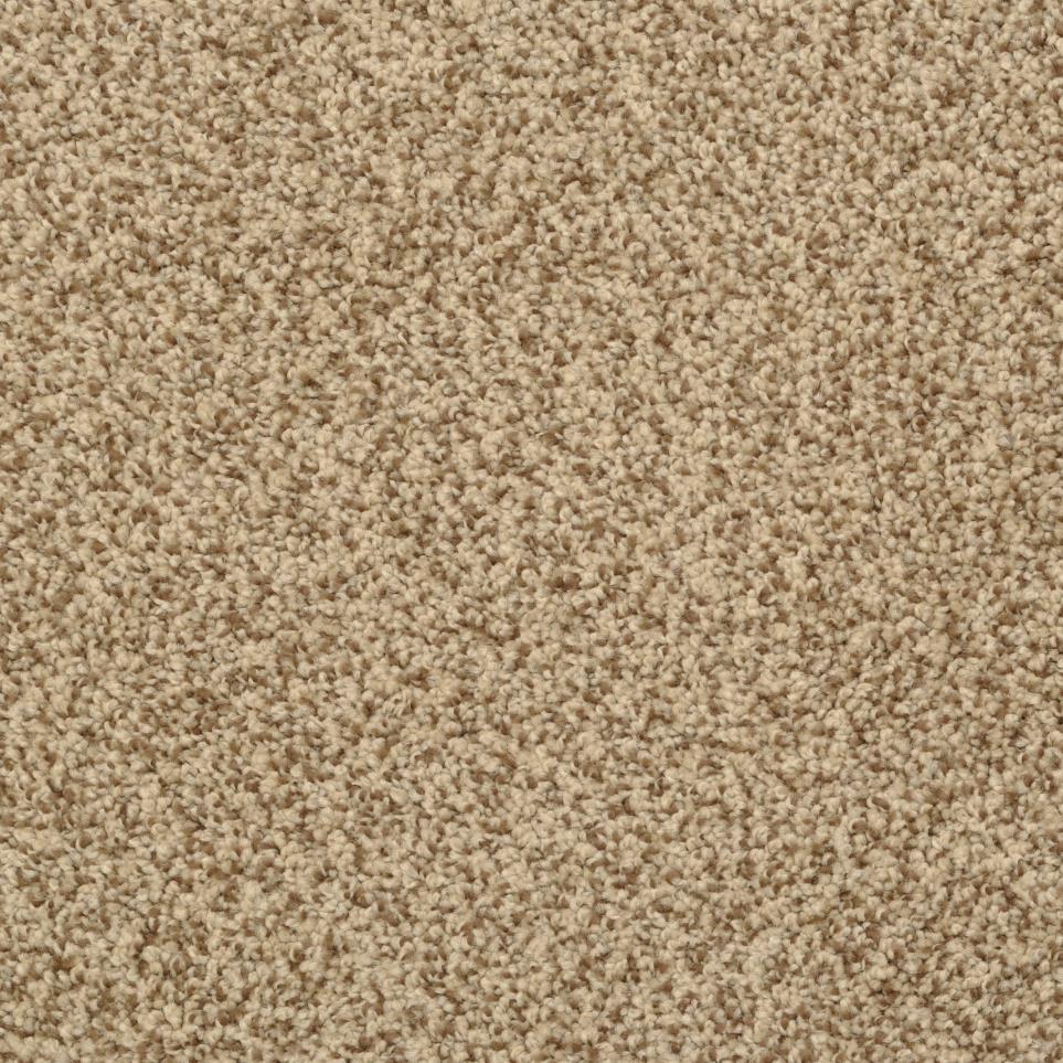 Casual Texture Mesa Brown Carpet