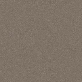 Cut Pile Weathered Beige/Tan Carpet