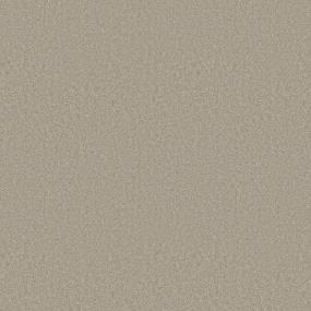 Textured Saxony Champagne Gray Carpet