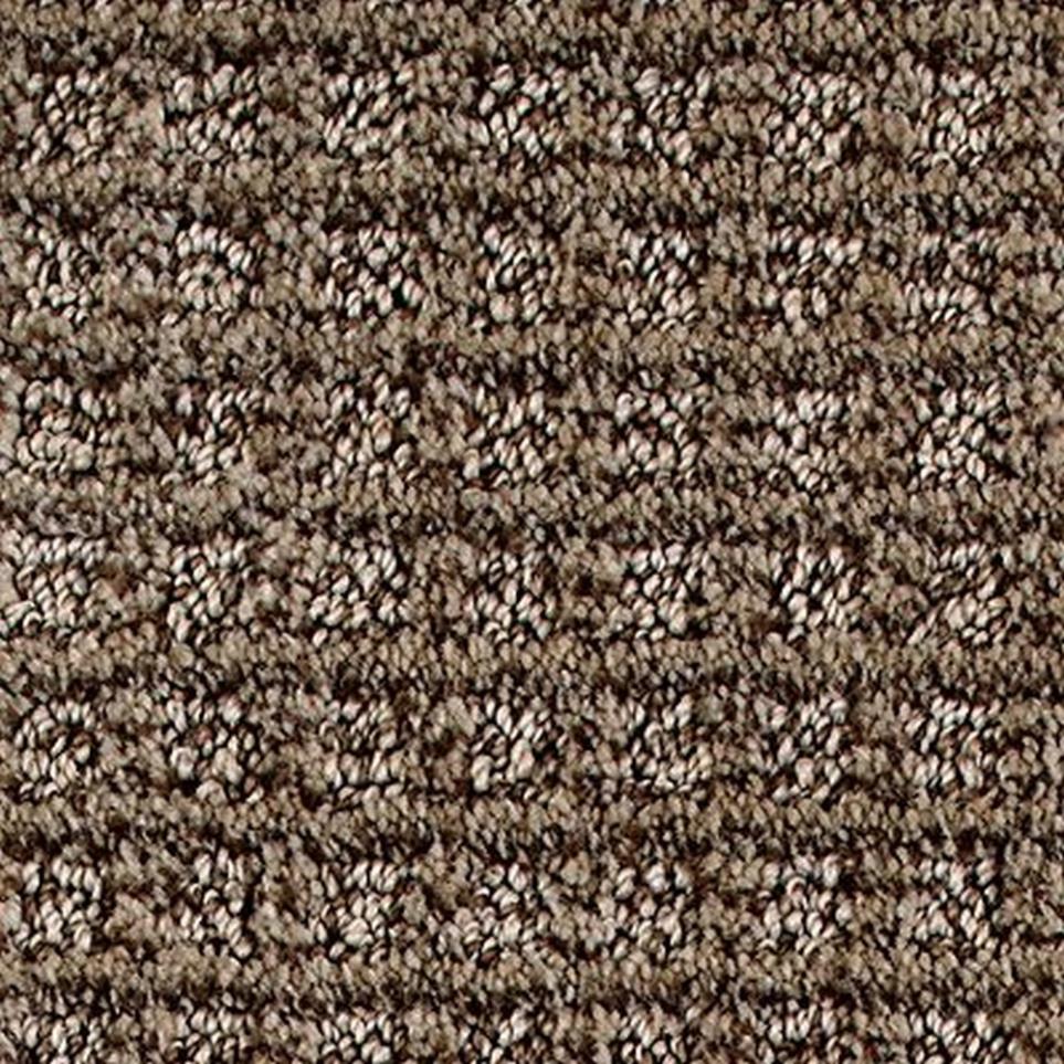 Pattern Cedar Brown Carpet