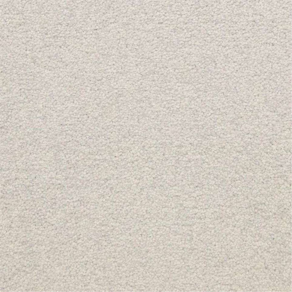 Casual Texture Techno Beige/Tan Carpet