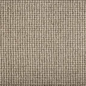Pattern Cobblestone Beige/Tan Carpet