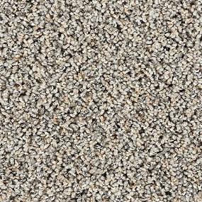 Textured Saxony GUNSMOKE Gray Carpet