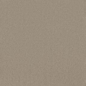 Pattern Atrium Beige/Tan Carpet
