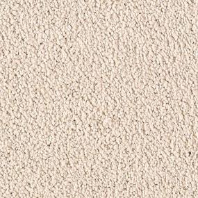 Textured Saxony Silk Canvas Beige/Tan Carpet