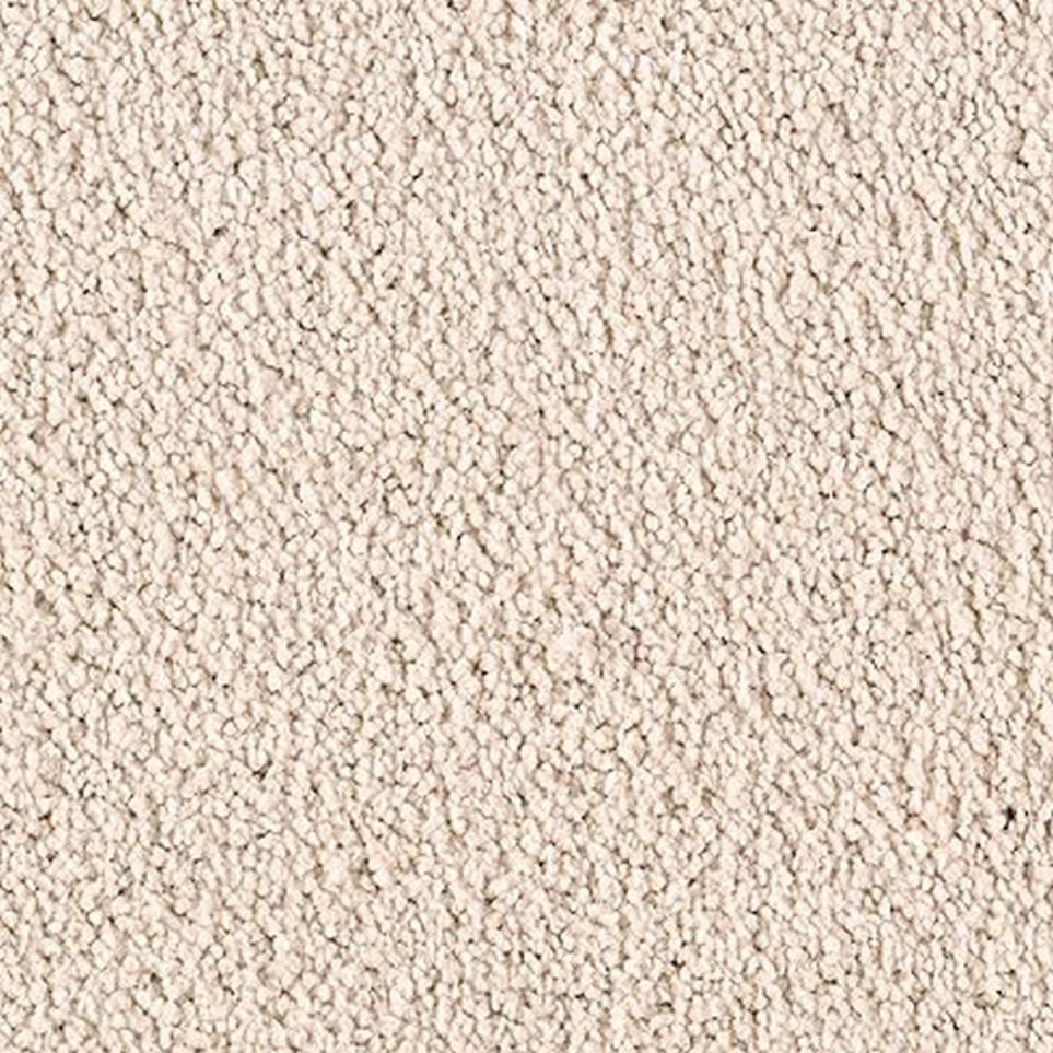 Textured Saxony Silk Canvas Beige/Tan Carpet