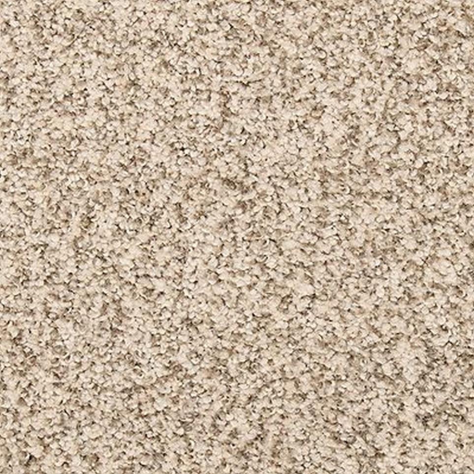 Textured Saxony Blanched Almond Beige/Tan Carpet