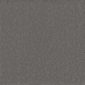 Textured Saxony Centime Gray Carpet