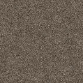 Textured Saxony After Hours Brown Carpet