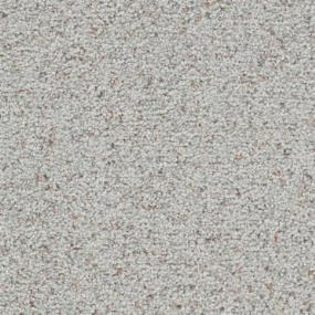 Texture Tenacious Gray Carpet
