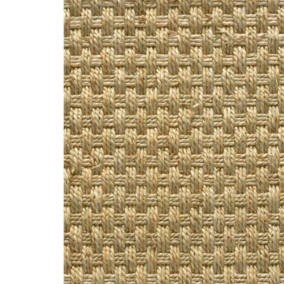 Pattern Natural Beige/Tan Carpet