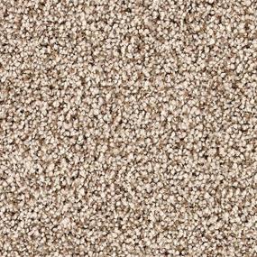 Textured Saxony Gondola Beige/Tan Carpet