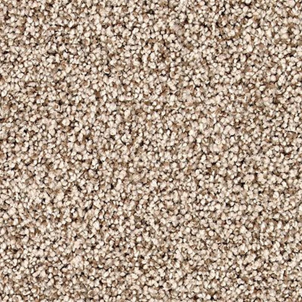 Textured Saxony Gondola Beige/Tan Carpet