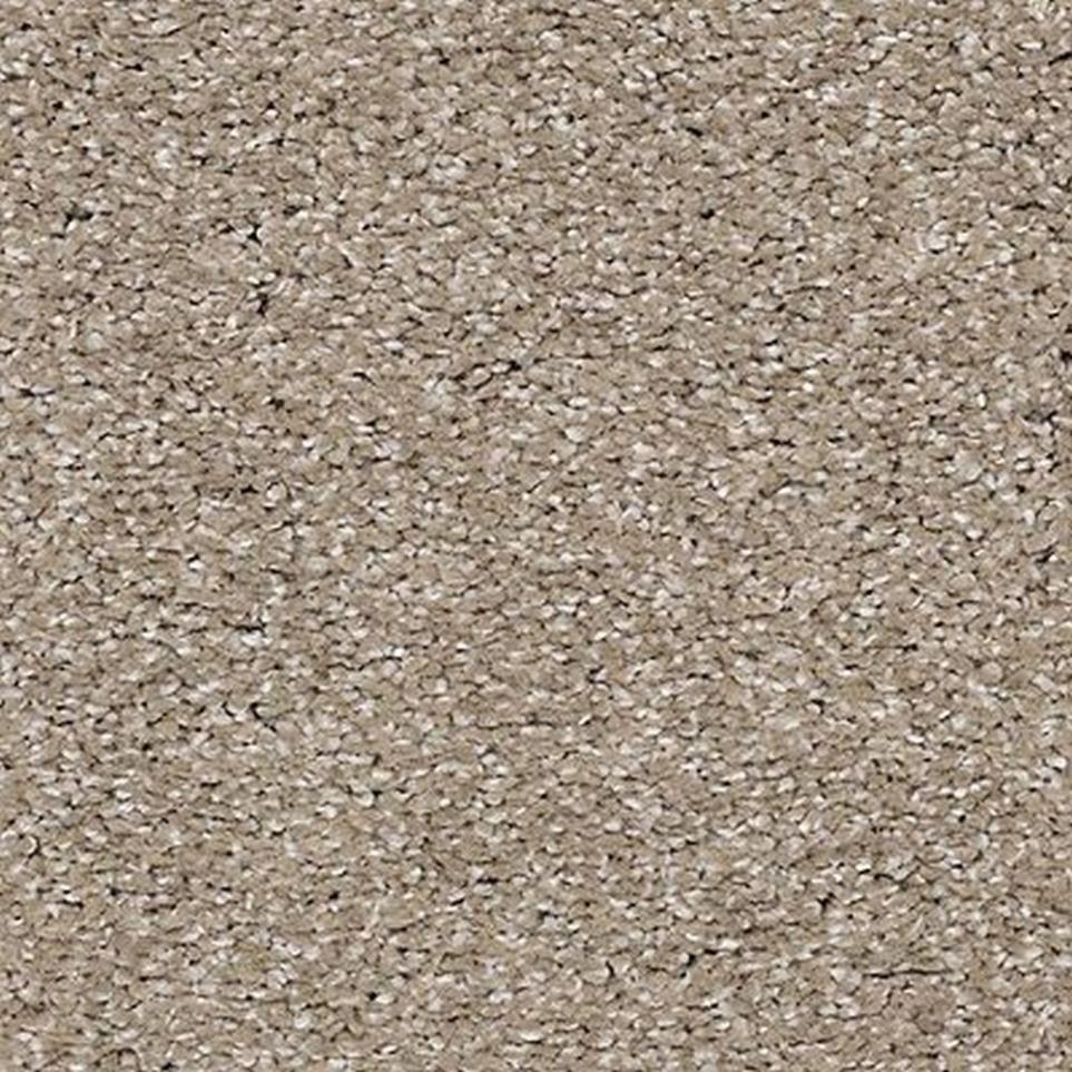 Textured Saxony Windsong Beige/Tan Carpet