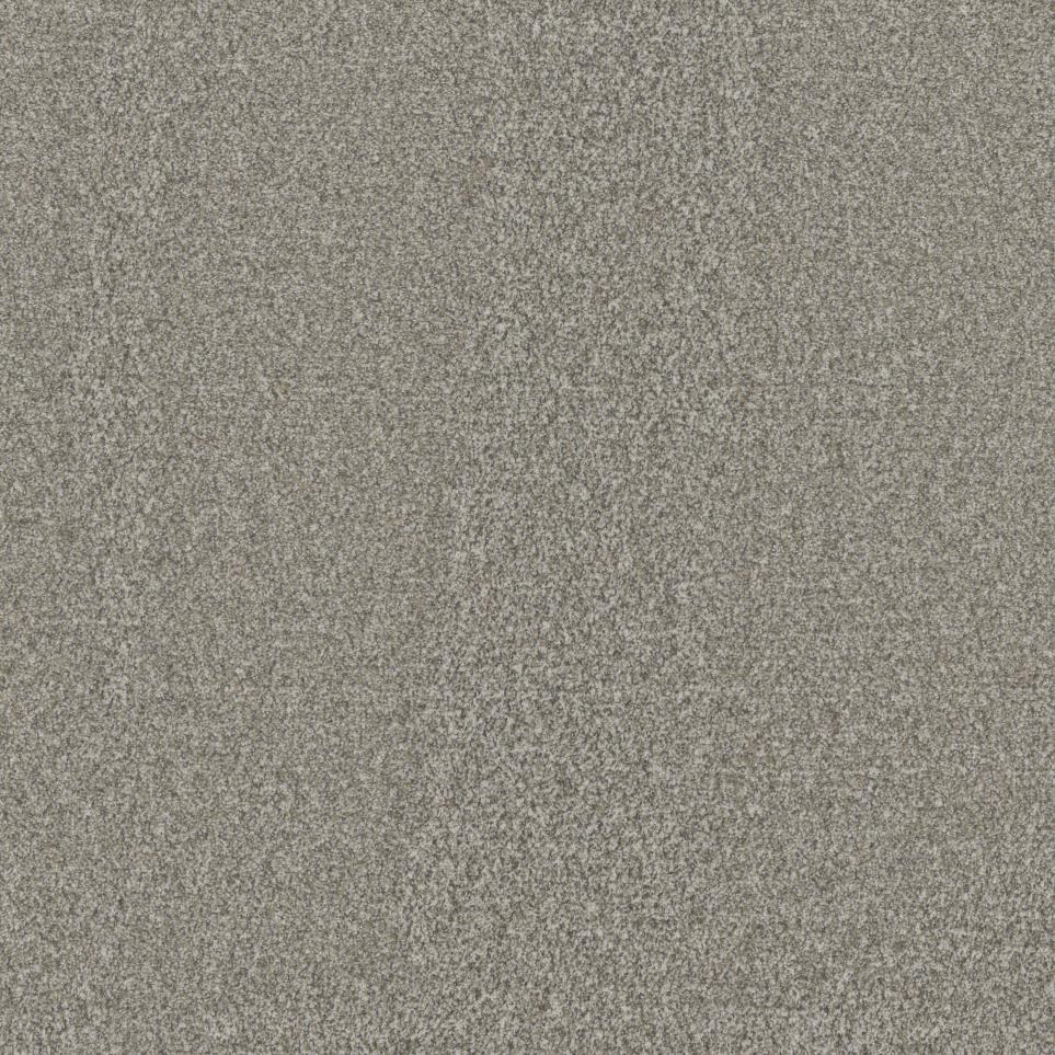 Textured Saxony MEMORY Beige/Tan Carpet