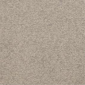 Casual Texture Arbor Path Gray Carpet