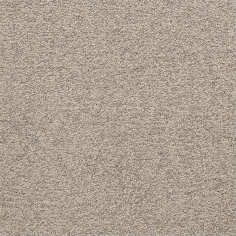 Casual Texture Arbor Path Gray Carpet
