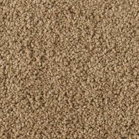 Textured Saxony Flaxen Air Beige/Tan Carpet