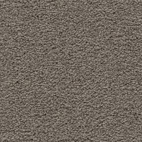 Textured Saxony Luxury Gray Carpet