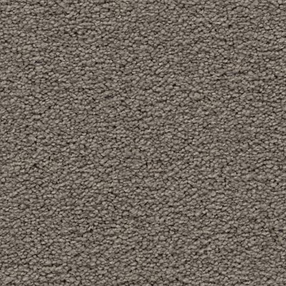 Textured Saxony Luxury Gray Carpet