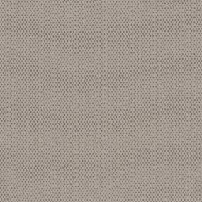 Pattern Stucco Gray Carpet