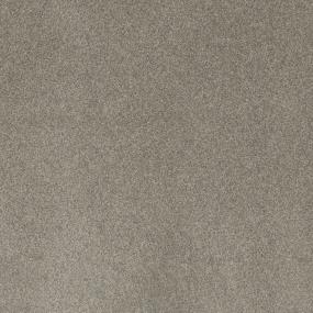 Textured Saxony Passionate Brown Carpet