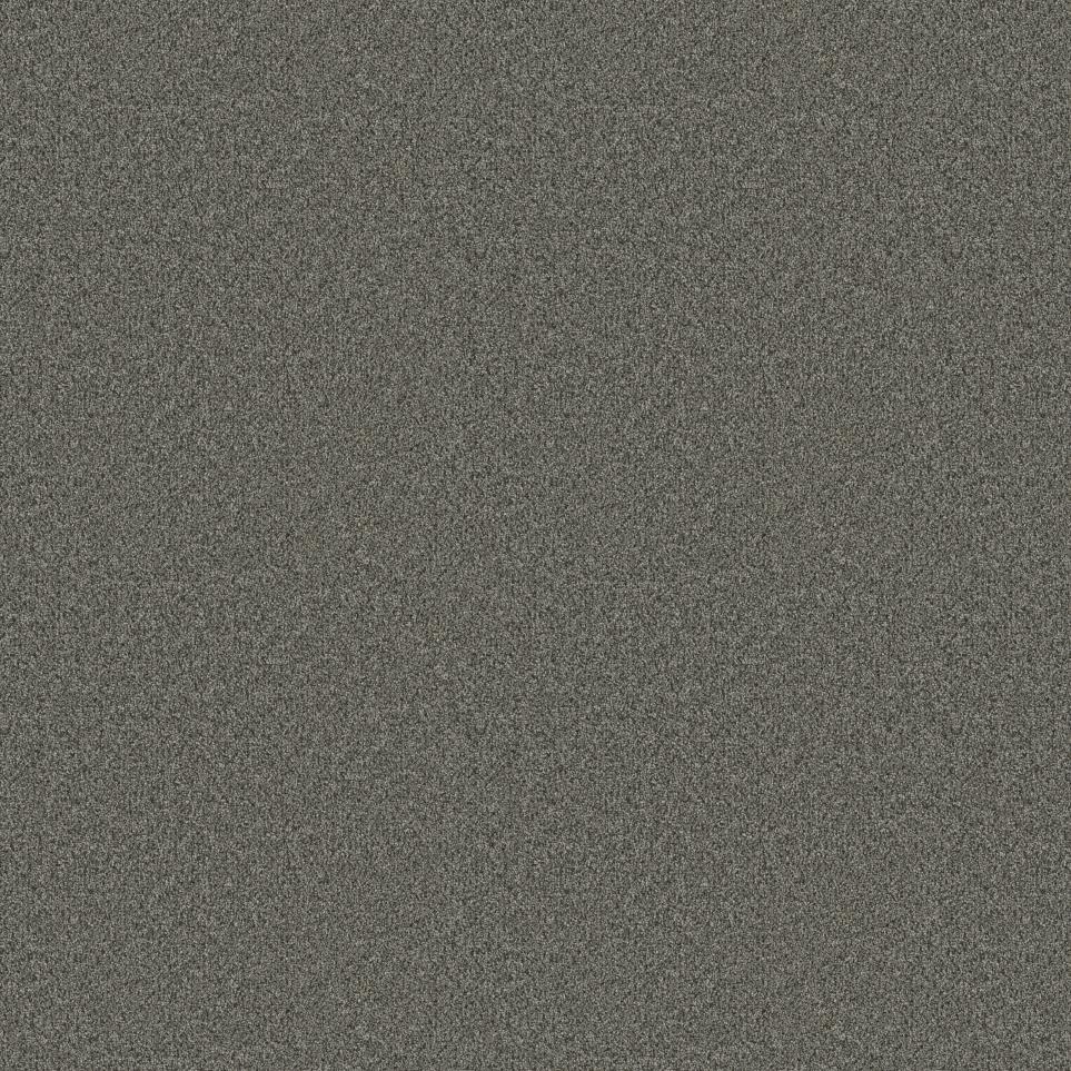 Texture Barrington Gray Carpet