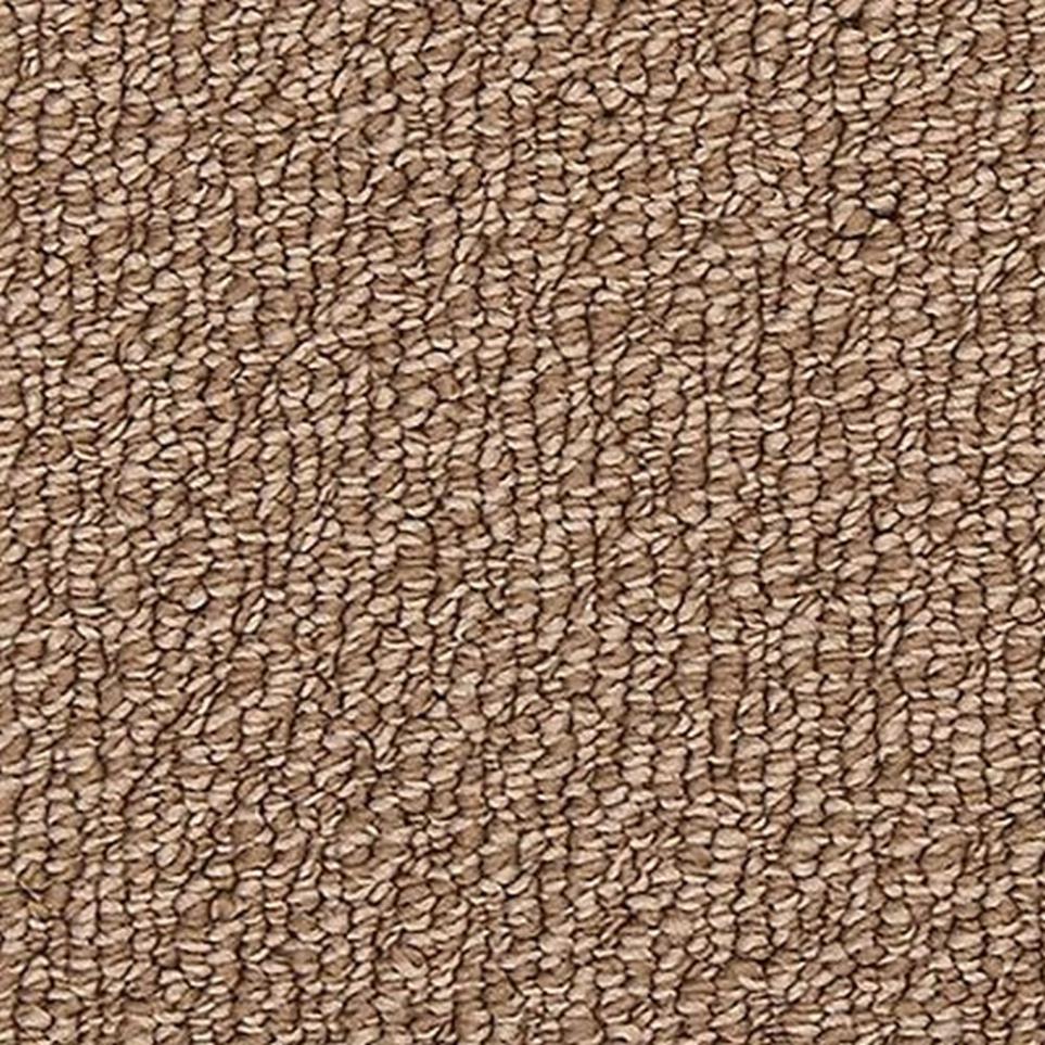 Loop Coconut Brown Carpet