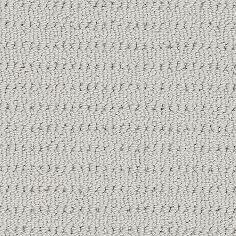 Loop Mountain Mist Gray Carpet