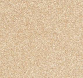 Casual Texture Sanderling Beige/Tan Carpet