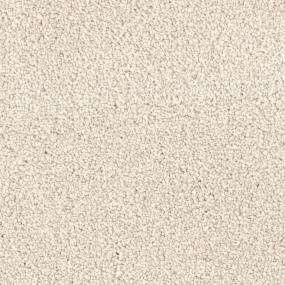 Casual Texture Dune Beige/Tan Carpet