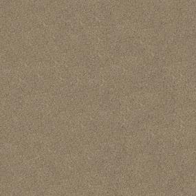 Textured Saxony Park Avenue Beige/Tan Carpet