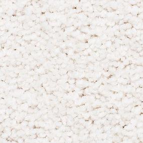 Textured Saxony COLONIAL ASH White Carpet