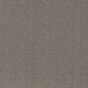 Pattern Nantucket Beige/Tan Carpet
