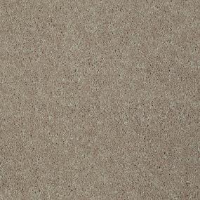 Textured Saxony Granola Beige/Tan Carpet
