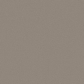 Textured Saxony Presence Beige/Tan Carpet