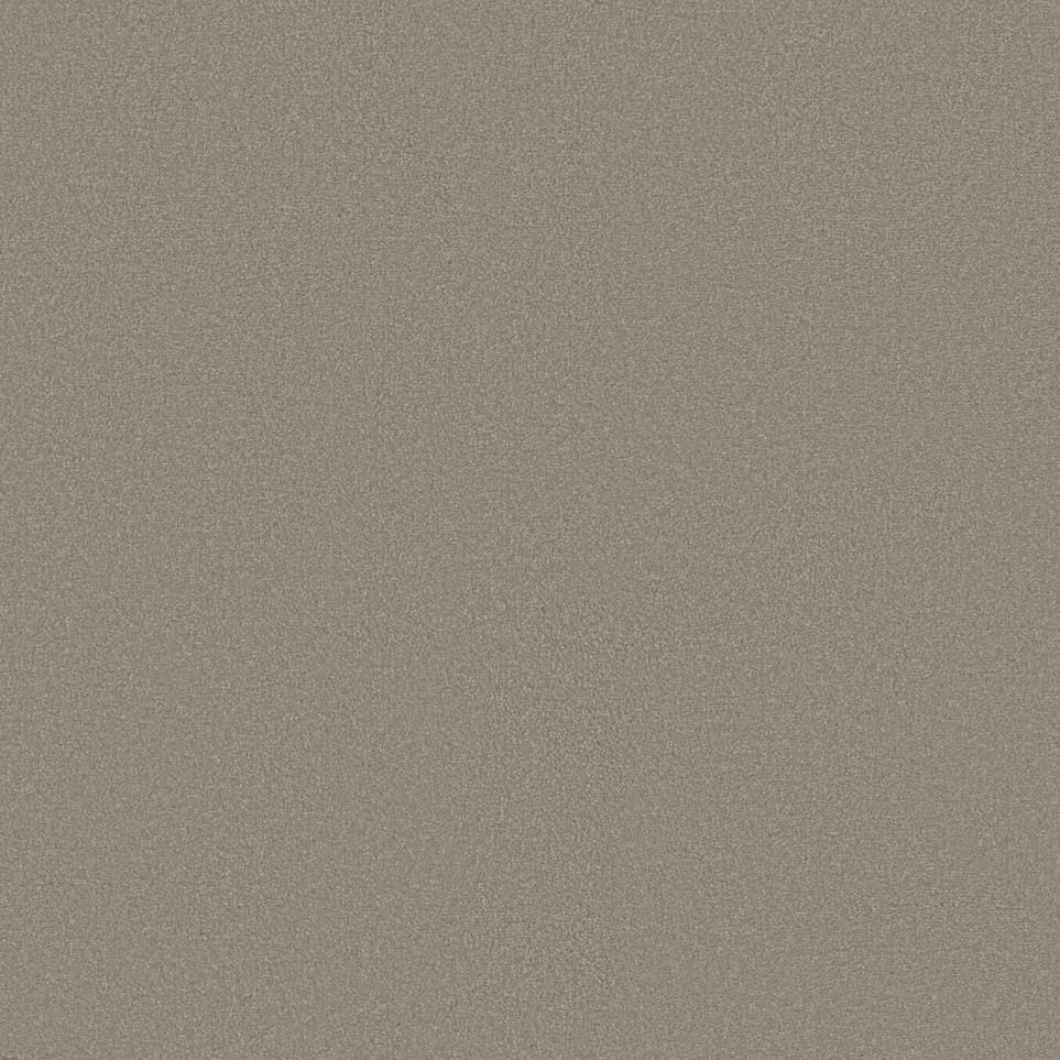 Textured Saxony Presence Beige/Tan Carpet