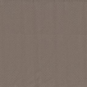 Pattern Russet Beige/Tan Carpet