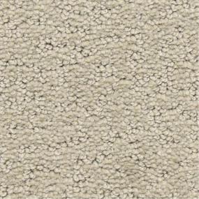 Pattern Esteem Beige/Tan Carpet